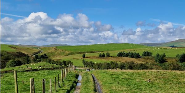 A track thorugh green rolling hills with a cloudy blue sky